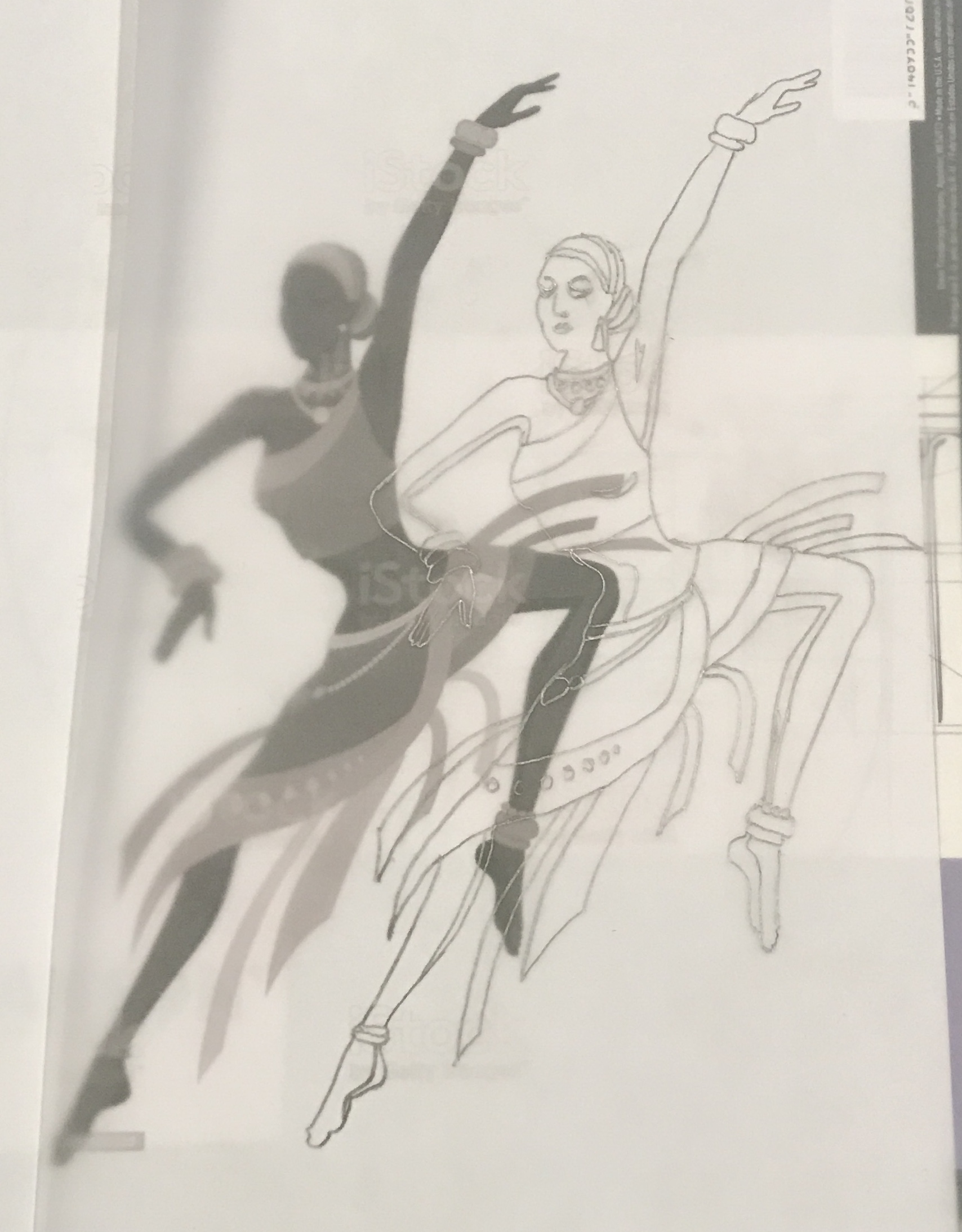 A tracing of the printed black and white picture